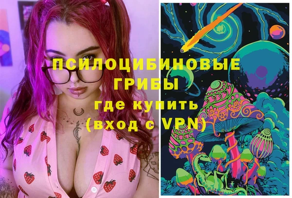 каннабис Новодвинск