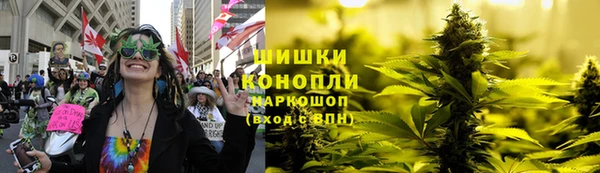 каннабис Новодвинск
