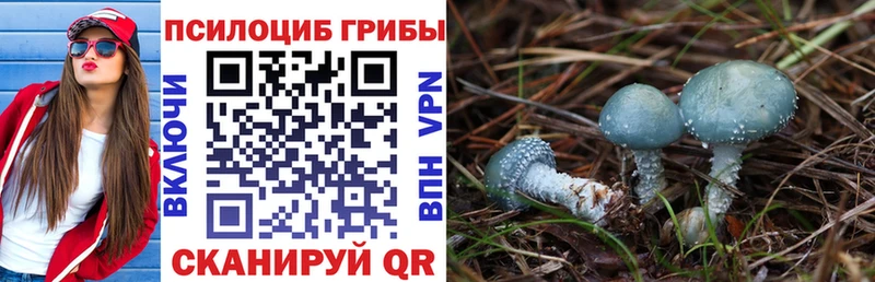 hydra ссылки  где продают   Новое Девяткино  Галлюциногенные грибы GOLDEN TEACHER 